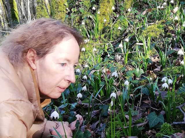 Previous Interview Image